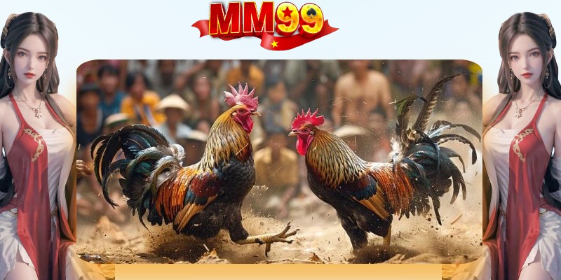 Đá Gà Thomo - Xem Trực Tiếp Đá Gà CPC1 CPC2 - eagle96.lol Đá Gà Thomo - Xem Trực Tiếp Đá Gà CPC1 CPC2 - eagle96.lol