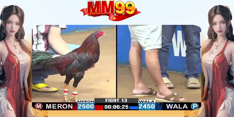 Đá Gà Trực Tuyến - Đặt Cược Và Xem Live Đỉnh Cao Tại MM99 - eagle96.lol Đá Gà Trực Tuyến - Đặt Cược Và Xem Live Đỉnh Cao Tại MM99 - eagle96.lol