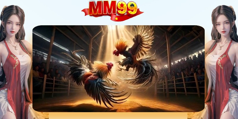 Đá Gà MM99 | Xem Trực Tuyến Và Đặt Cược An Toàn - eagle96.lol