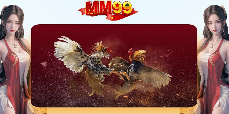 Đá Gà MM99 | Xem Trực Tuyến Và Đặt Cược An Toàn - eagle96.lol