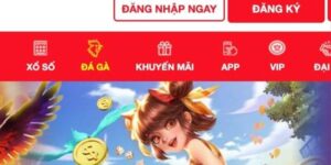 Hướng Dẫn MM99 - Thao Tác Cơ Bản Dành Cho Người Mới - eagle96.lol